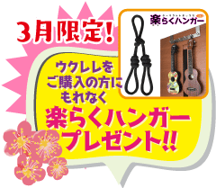 ウクレレ初心者セット ウクレレ通販専門店 K Ukulele Box ケーウクレレボックス